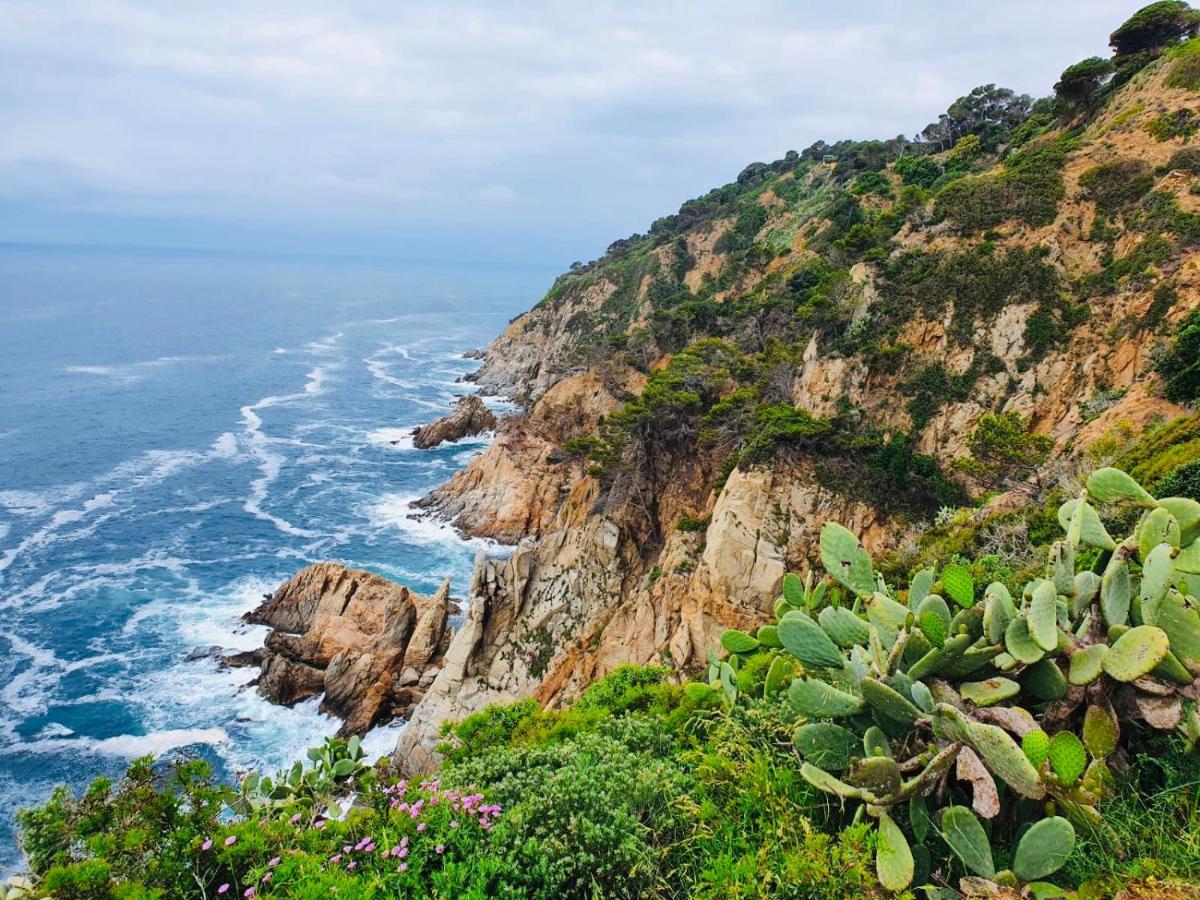 Apartamento Tossa De Mar Zewnętrze zdjęcie