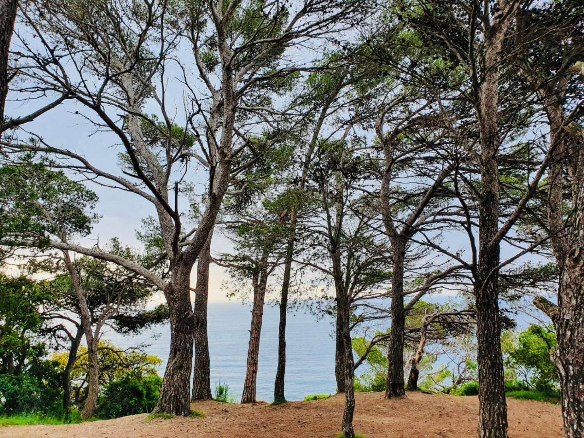 Apartamento Tossa De Mar Zewnętrze zdjęcie