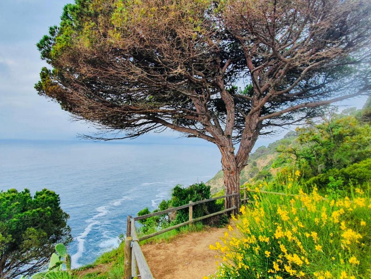 Apartamento Tossa De Mar Zewnętrze zdjęcie